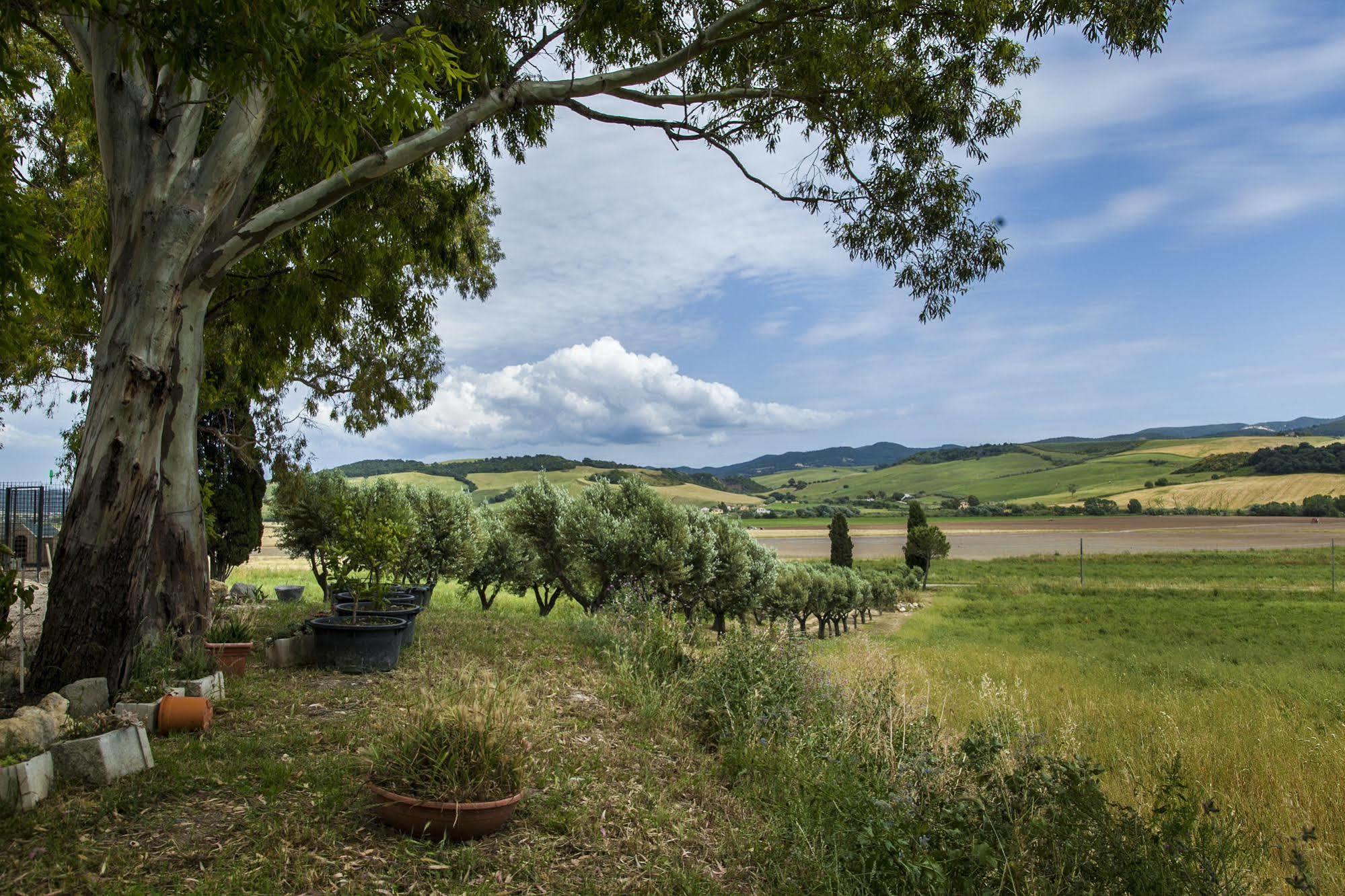 Locanda Villa Naumanni Таркуїнія Екстер'єр фото